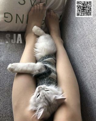 鞭炮电影