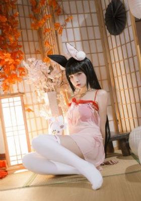 k8经典播放理伦片